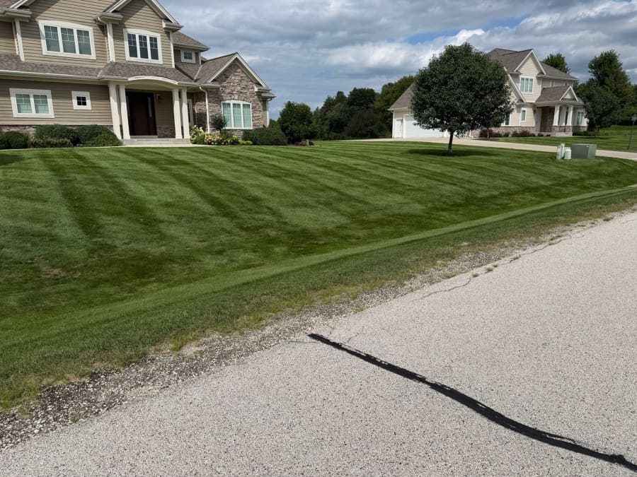 Striped front lawn on a residential property