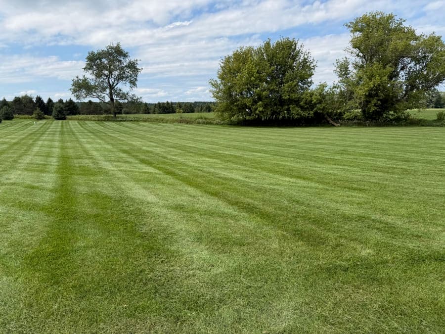 Striped open lawn on an acreage property